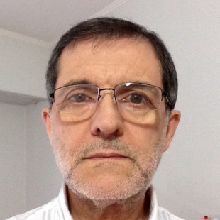 Prof. Dr. Profesor  dr Oscar Bottasso